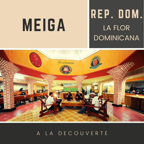 Meiga - La Flor Dominicana