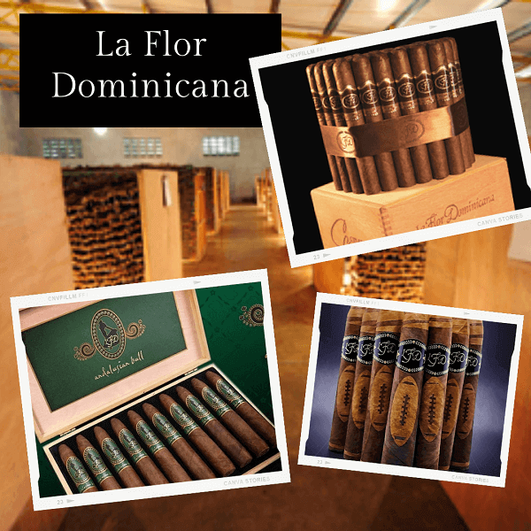 Meiga - La Flor Dominicana - cigares